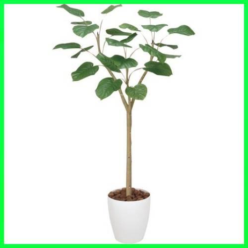 受賞店舗 人工観葉植物 ウンベラータポット 180cm 85cm 70cm 造花 インテリア ディスプレイ グリーン Glpa 017 アクセソワール 通販 Yahoo ショッピング レビューで送料無料 Www Iccostierovico Edu It