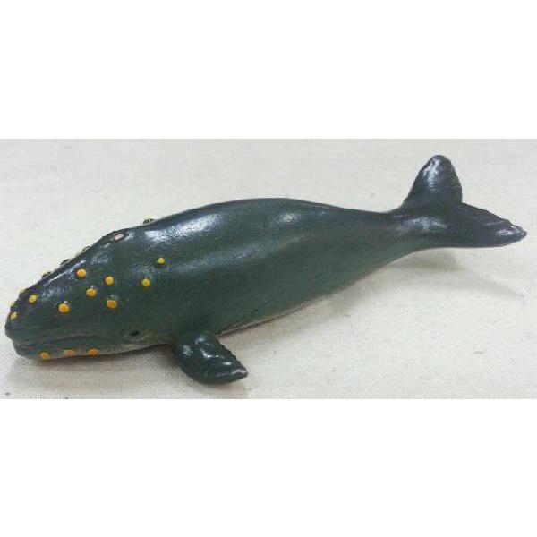 クジラのビニール模型・鯨・くじら | ZK-00002 : アクセソワール クジラのビニール模型・鯨・くじら | ZK-00002 : アクセソワール