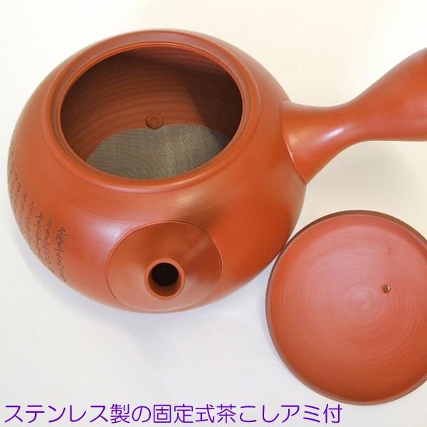 常滑焼 玉光作細字彫 新回転急須 10人用 急須単品 ステンレス製の