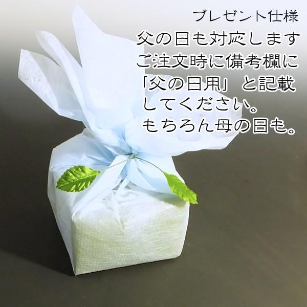 酒器 酒杯 ぐいのみ ぐい呑み 【鯰】 なまず 万古焼 祥司作 伝統工芸士