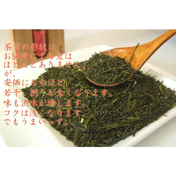 新茶2026 お茶 緑茶 深蒸し茶 おいしい渋味 一番茶 深むし茶 100g 初音