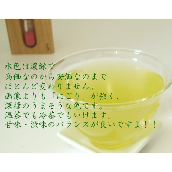 新茶2026 お茶 緑茶 深蒸し茶 おいしい渋味 一番茶 深むし茶 100g 初音