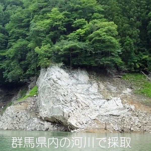 流木 販売 群馬 天然木 インテリア 中型 ryuboku-003 : 有限会社