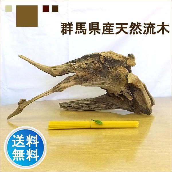 流木 販売 群馬 天然木 インテリア 中型 ryuboku-004 : 有限会社