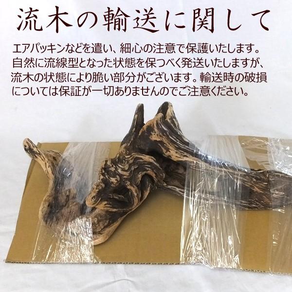 流木 販売 群馬 天然木 インテリア 中型 ryuboku-004 : 有限会社