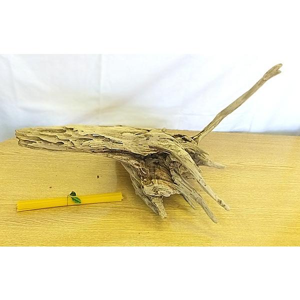 流木 販売 群馬 天然木 インテリア 中型 ryuboku-005 : 有限会社