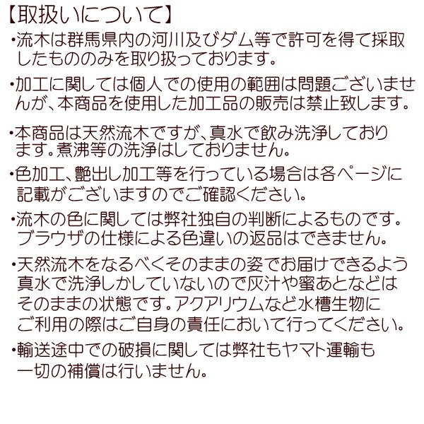 流木 販売 群馬 天然木 インテリア 大型 ryuboku-013 : 有限会社