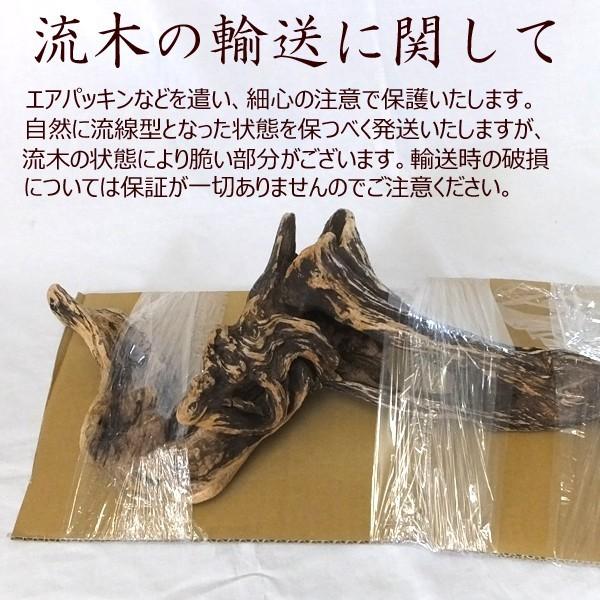 大型流木　インテリア売り物　90 × 40 × 57 大型流木 インテリア売り物 90 × 40 × 57 - メルカリ