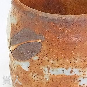 プレミアム会員 湯のみ 土もの 【赤志野椿文湯呑】 あかしの 志野焼