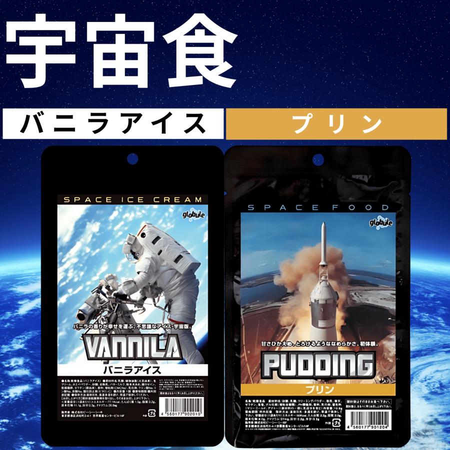 尾西食品 宇宙食 アイス セット バニラ プリン お菓子 デザート