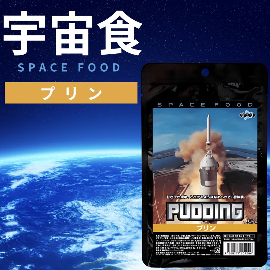 尾西食品 宇宙食 アイス セット プリン お菓子 デザート フリーズ