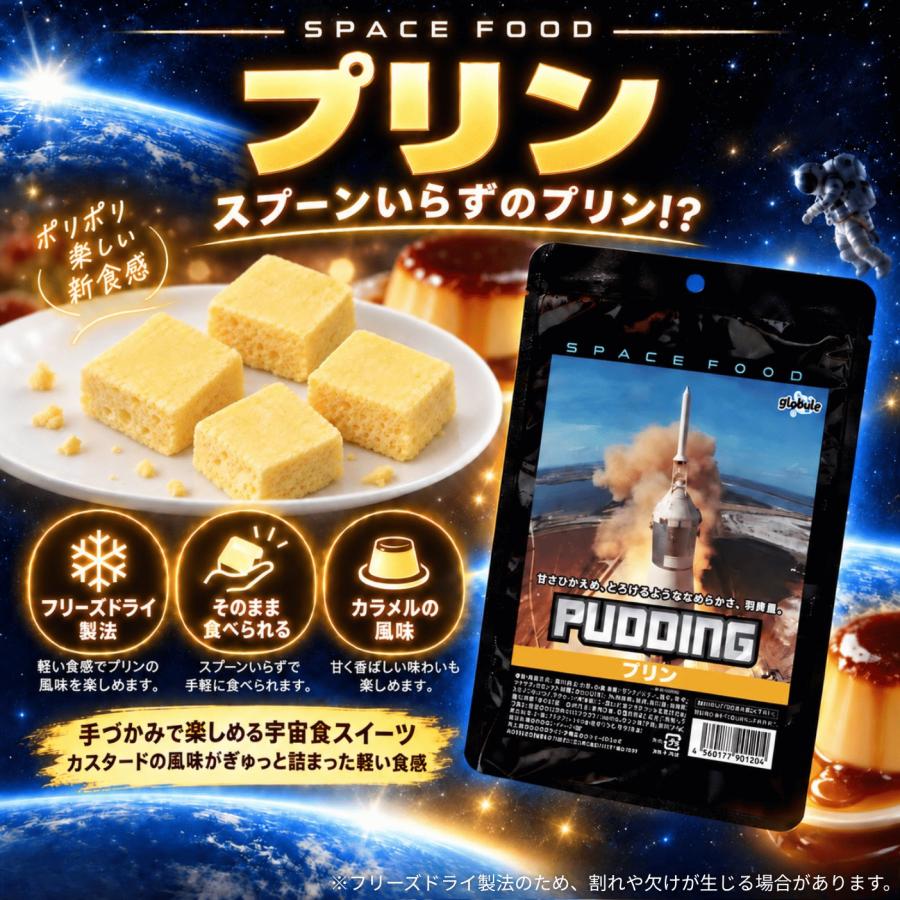 尾西食品 宇宙食 アイス セット プリン お菓子 デザート フリーズ