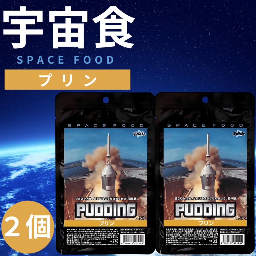 尾西食品 宇宙食 アイス セット プリン お菓子 デザート フリーズ