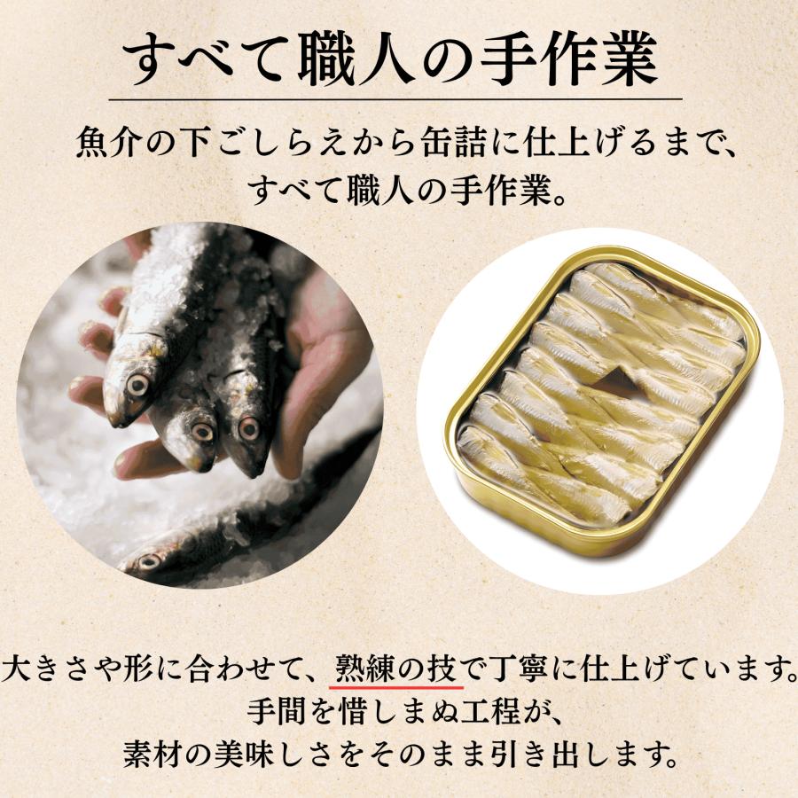 竹中缶詰 天の橋立 オイルサーディン 鰯 いわしオイル漬け 魚 備蓄用
