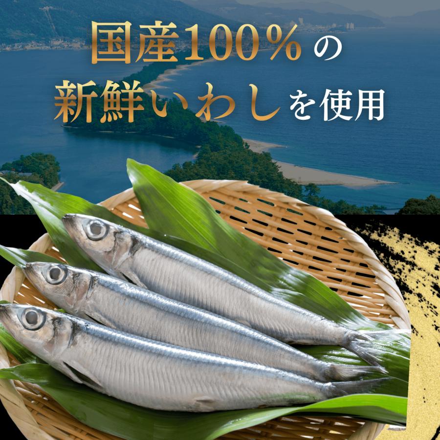 竹中缶詰 天の橋立 オイルサーディン 鰯 いわしオイル漬け 魚 備蓄用