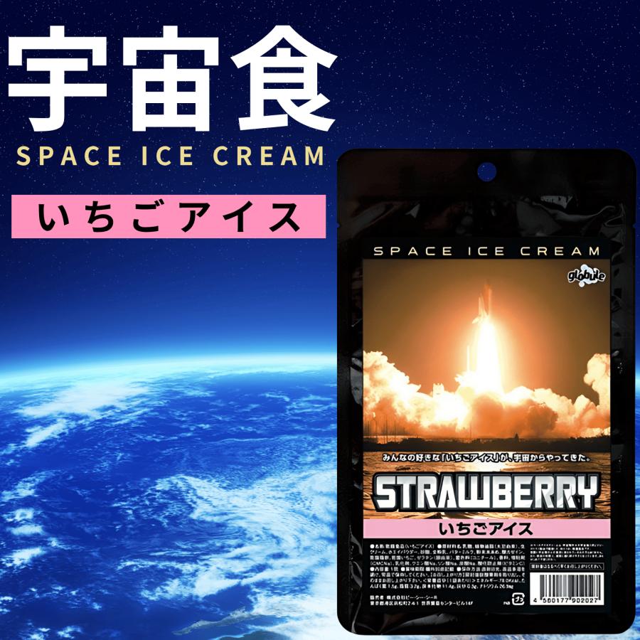 尾西食品 宇宙食 アイス セット いちご お菓子 デザート フリーズ