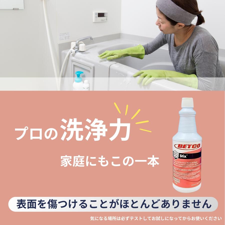 スティックス 洗剤 クレンザー 研磨剤 酸性 ベトコ シンク トイレ
