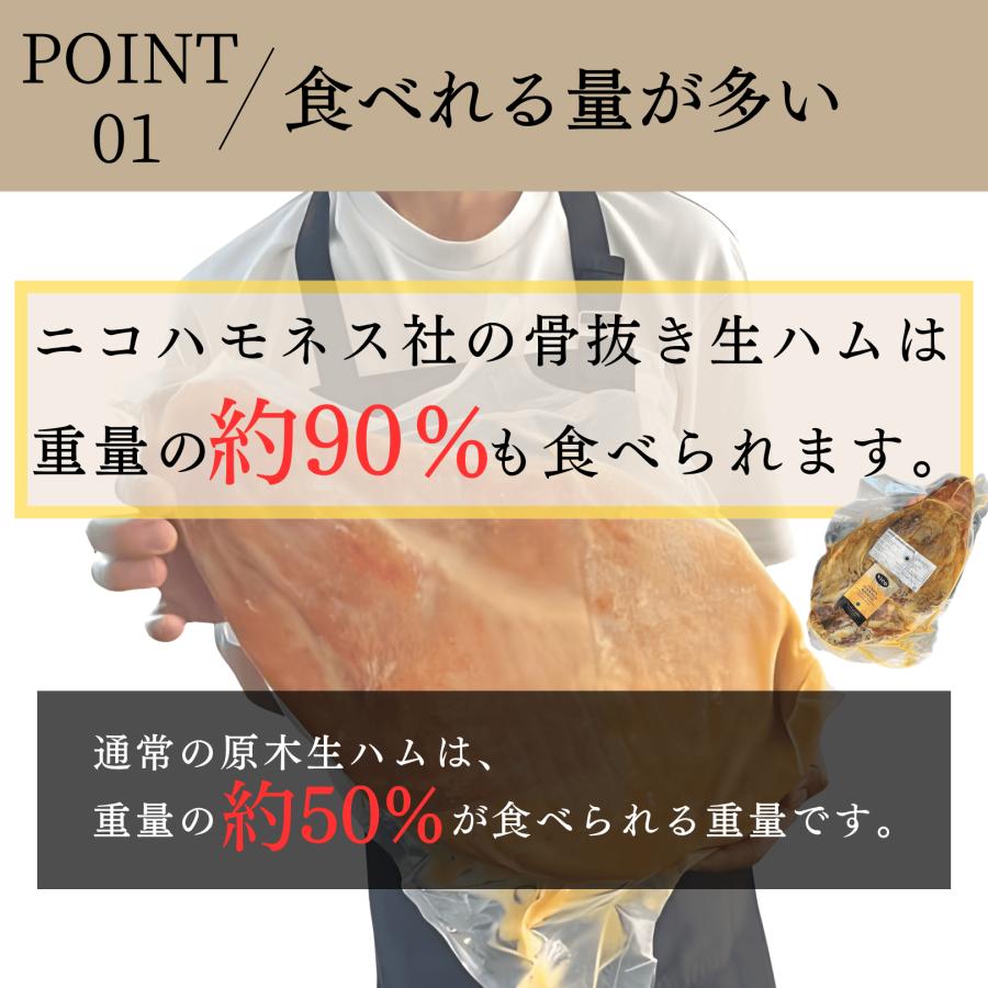 生ハム 原木 骨なし ブロック ハモンセラーノ 5〜6kg 10ヶ月熟成 高級