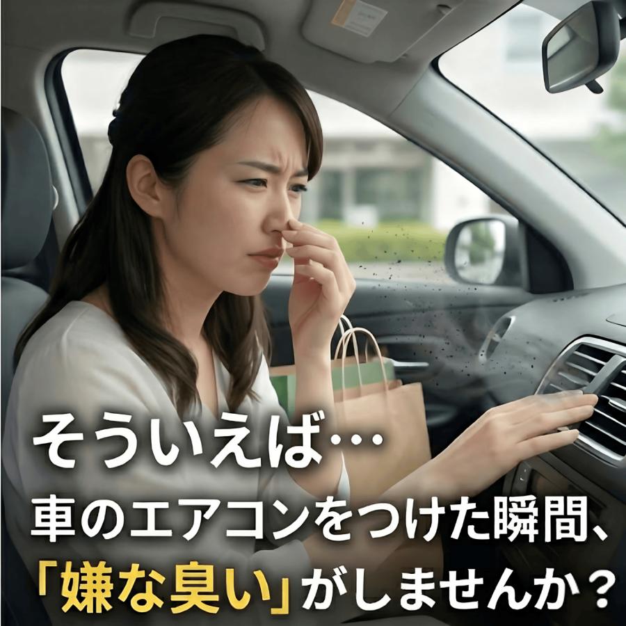 ZAC JAPAN COMPANY エバポレーター 洗浄 クリーナー 車 カーエアコン