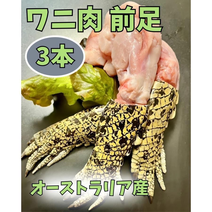 クロコシリーズ ×ペイズリー 鰐　ワニ　牛　ウシ　蛇　ヘビ　巳　クロコダイル クロコシリーズ ×ペイズリー 鰐 ワニ 牛 ウシ 蛇 ヘビ 巳