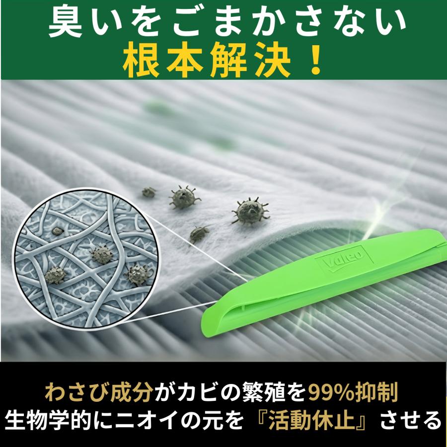 ZAC JAPAN COMPANY エバポレーター クリーナー 洗浄 車 わさびデェール
