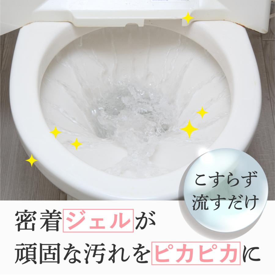 アルファックス 2本セット トイレ 掃除 黄ばみ 洗剤 尿石 汚れ