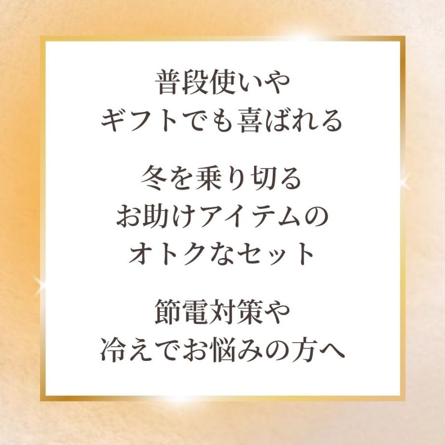 あったか 毛布 薄手 薄い 暖かい 冬 用 シングル 冷え 対策 クッション お尻 腰 イス 極暖あったか毛布 シングルサイズ + チェアクッション セット 爆買_1