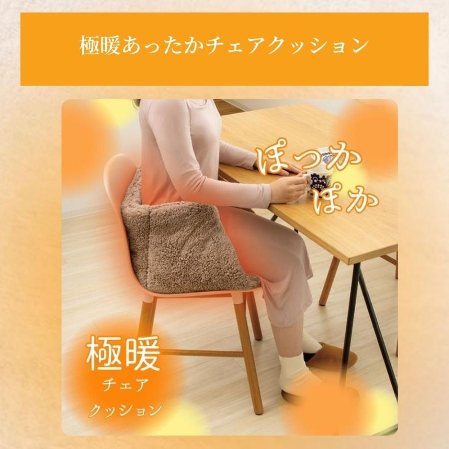 あったか 毛布 薄手 薄い 暖かい 冬 用 シングル 冷え 対策 クッション お尻 腰 イス 極暖あったか毛布 シングルサイズ + チェアクッション セット 爆買_7