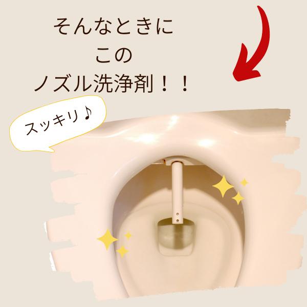 トイレノズルクリーナー トイレ掃除 泡タイプ 日本製 温水洗浄便座のノズル洗浄剤｜al-phax｜03