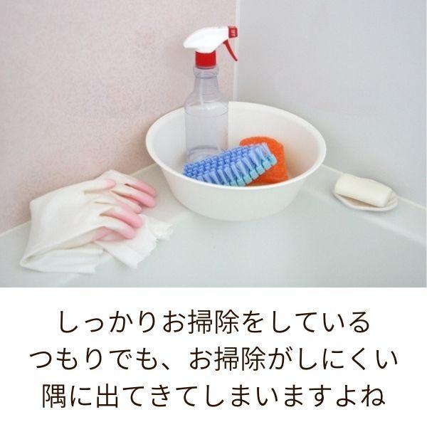 風呂床 黒ずみ ピンク 汚れ 風呂床の洗浄剤 掃除 お風呂の床掃除 日本製 木村石鹸 風呂床ピカットパウダーピンクヌメリ予防 アルファックス Online Shop 通販 Yahoo ショッピング