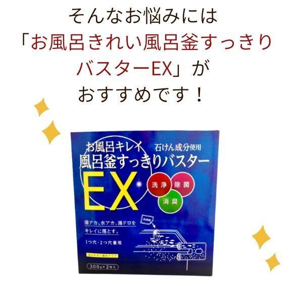 風呂釜 洗浄 一つ穴 二つ穴 清掃 風呂釜洗浄剤 お風呂掃除 洗剤 日本製