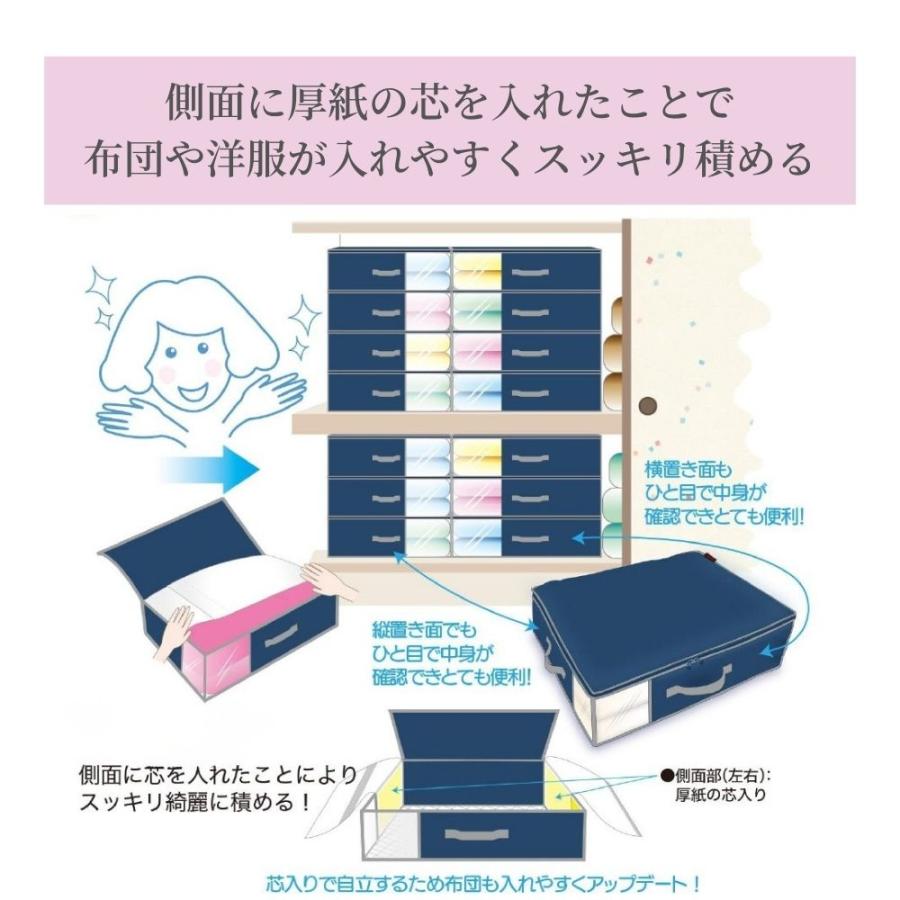 テイジン　カラッと収納ケース プレミアム　大サイズ４個、小サイズ２個 TEIJIN（テイジン） 大4個セット 収納ケース 収納 ボックス 奥行52 幅