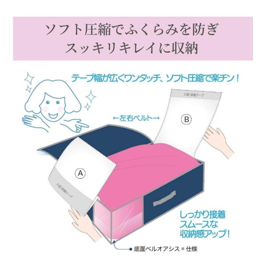 TEIJIN（テイジン） 小2個+大2個セット 収納ケース 収納 ボックス 奥行