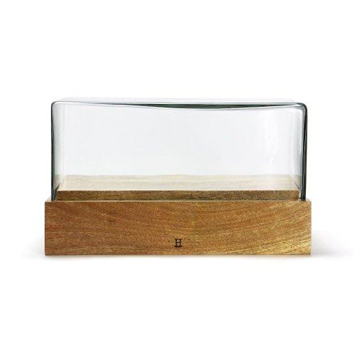 HERE ヒア / 「Glass Dome 