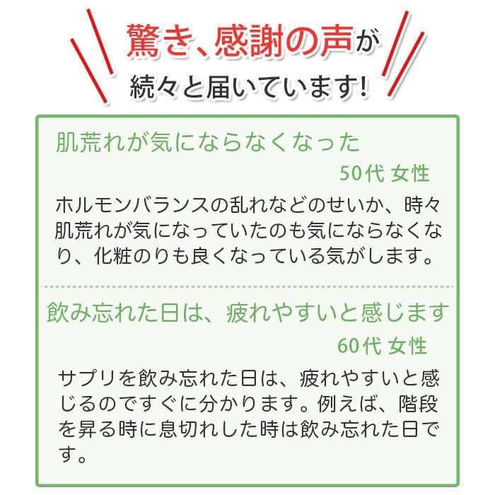 New限定品 5 Ala 5 アミノレブリン酸 配合サプリメント ララ ソロモン インナービューティーサプリ Ala 亜鉛 お得な6個セット 約半年分 驚きの値段 Kuljic Com