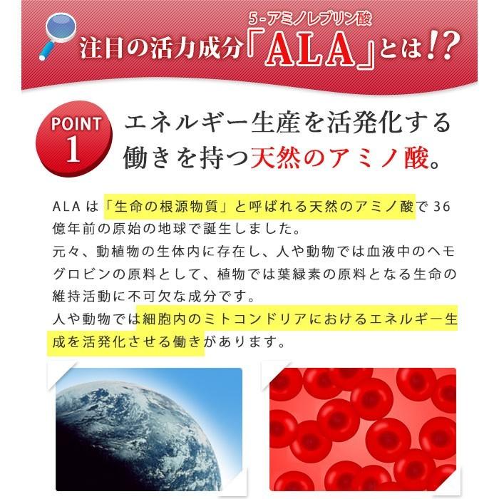 5-ALA アミノレブリン酸 (国内製造)配合サプリ ララ・ソロモン インナービューティーサプリ 5-ALA+亜鉛 (12個セット -約1年分- ) :AY-RA-LAI-008:ALA-Labo - 通販 - Yahoo!ショッピング 5-ALA アミノレブリン酸 (国内製造)配合サプリ ララ・ソロモン インナービューティーサプリ 5-ALA+亜鉛 (12個セット -約1年分- ) :AY-RA-LAI-008:ALA-Labo - 通販 - Yahoo!ショッピング