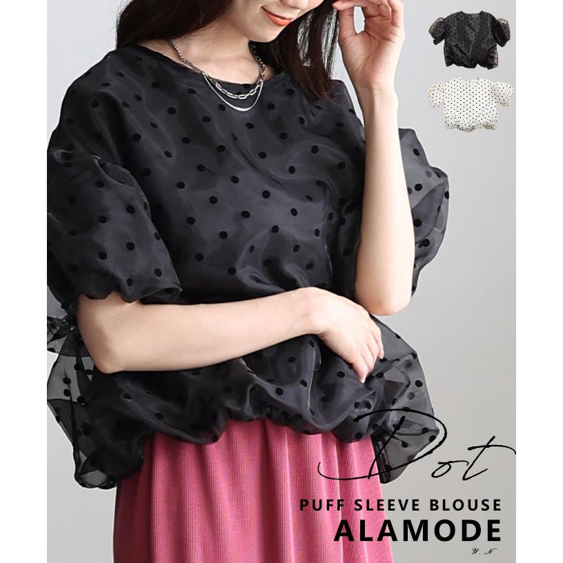 almam-202731