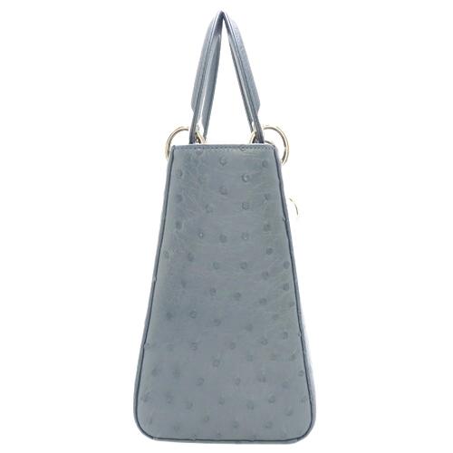 Christian Dior(クリスチャンディオール) レディディオール