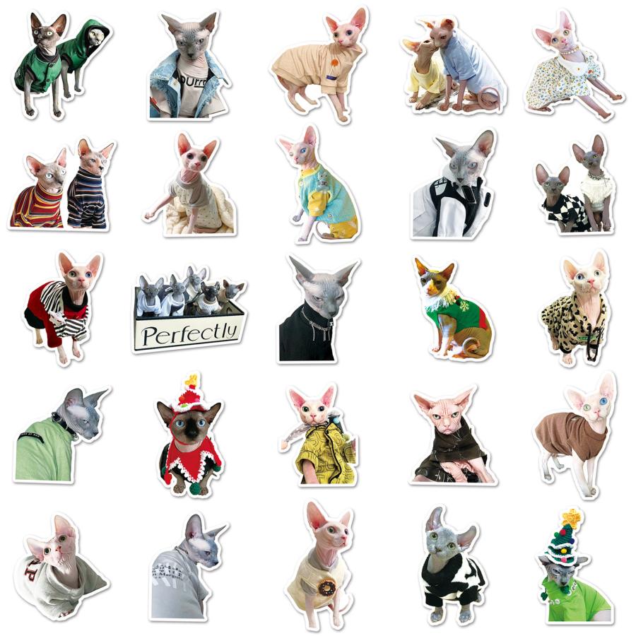 スフィンクス リアル 猫 ネコ ニャンコ ペット イラスト 素材 動物