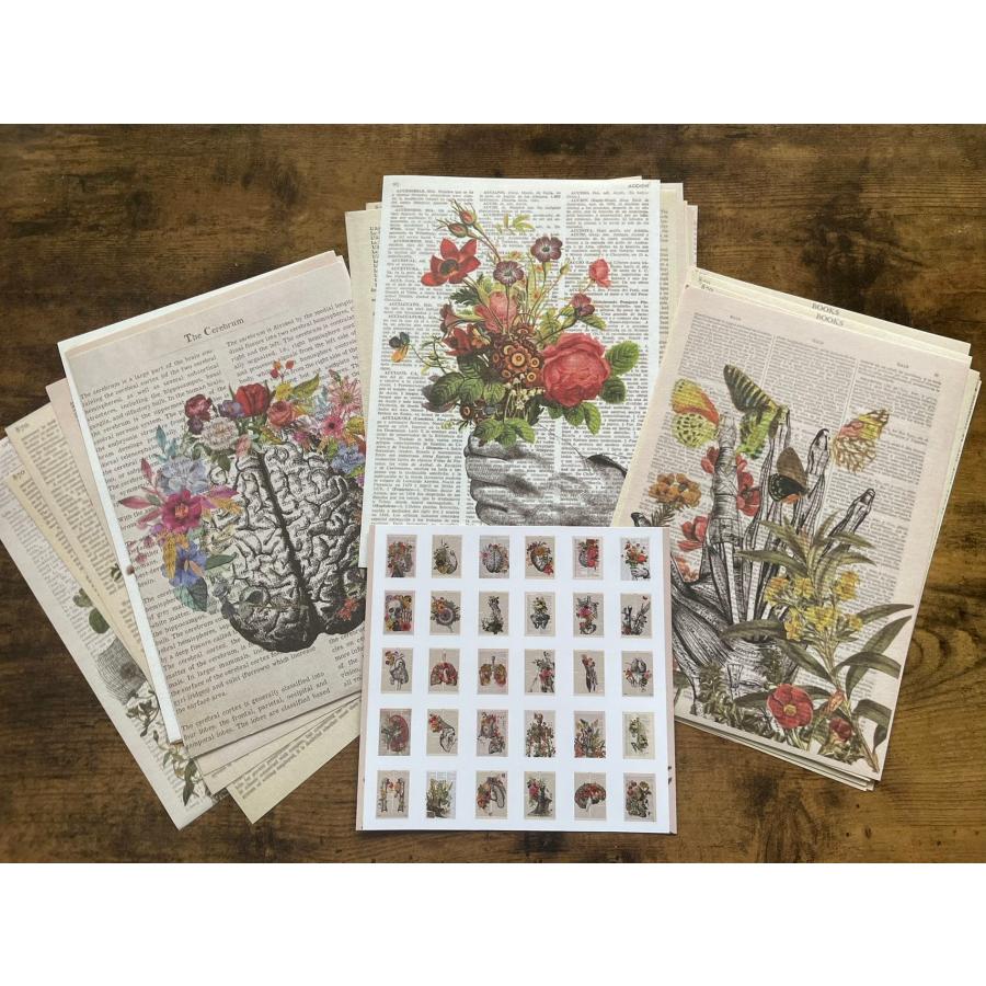 コラージュ素材紙もの素材紙【2308】