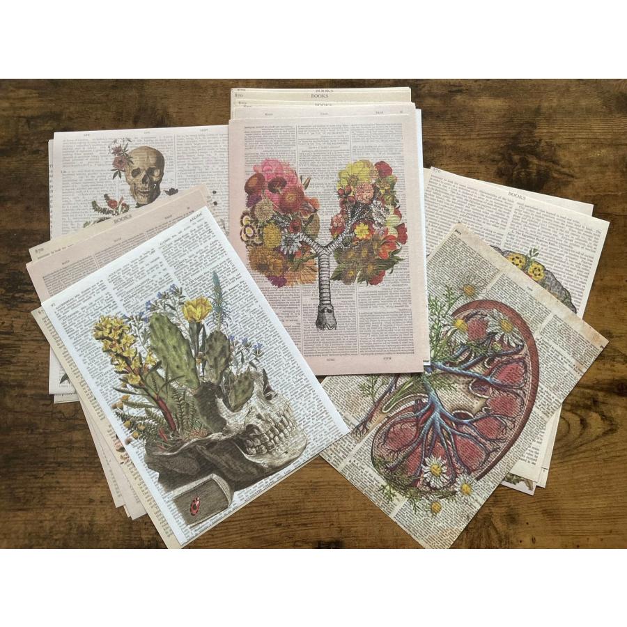 コラージュ素材紙もの素材紙【2308】