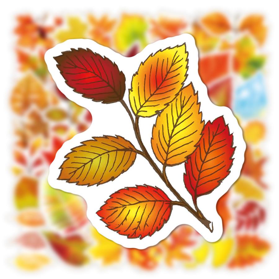 紅葉 もみじ 落葉広葉樹 落葉 秋 シール ステッカー50枚 Az G Q 通販 Yahoo ショッピング