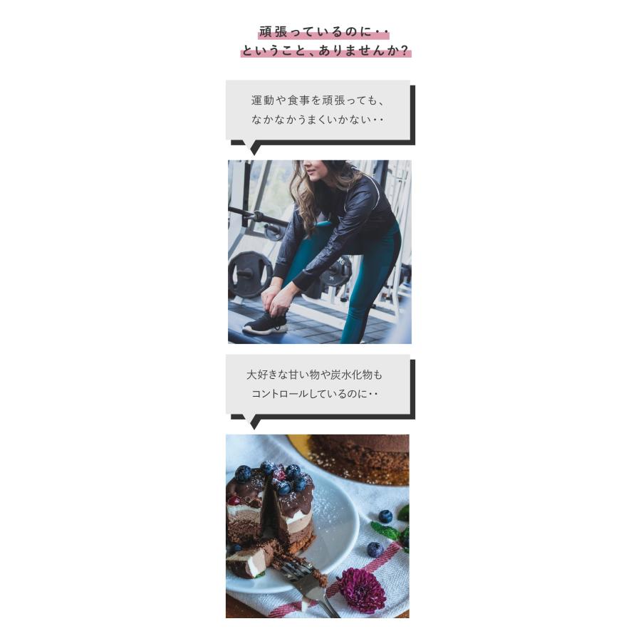 アラプラス からだシェイプ 20回分 5個セット 5ALA サラシア トウガラシ アルファリポ酸 カルニチン カイエン 運動の画像