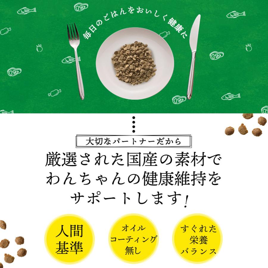 ヤムヤムヤム ドッグフード 馬肉 1.3kg ヤムヤムヤム シニア yamyamyam ドッグフード 無添加  国産 シニア犬｜alba-re｜03