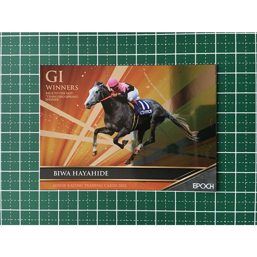☆EPOCH 2022 競馬 JRA ホースレーシング #SP06 ビワハヤヒデ［1994年 