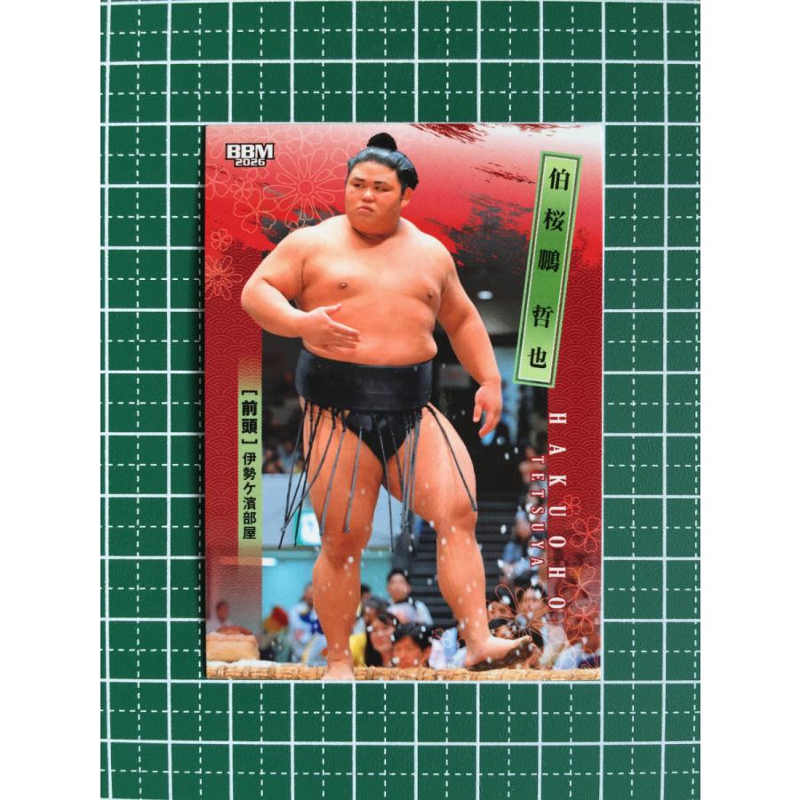☆BBM 2026 大相撲 #08 伯桜鵬哲也／伯乃富士哲也［前頭／伊勢ヶ濱部屋