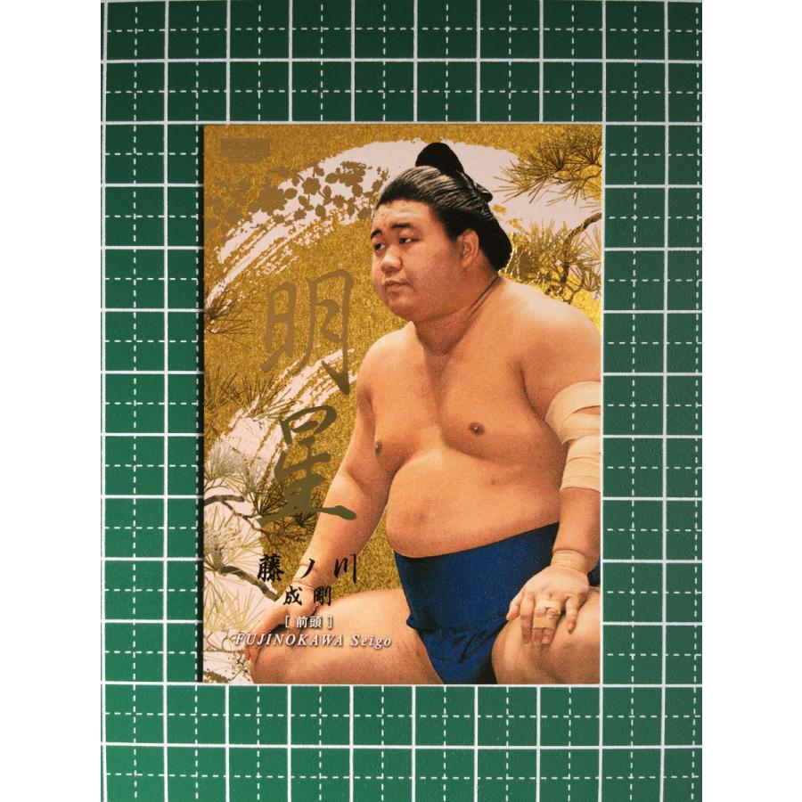 ☆BBM 2026 大相撲 #MY5 藤ノ川成剛［前頭／伊勢ノ海部屋］インサート