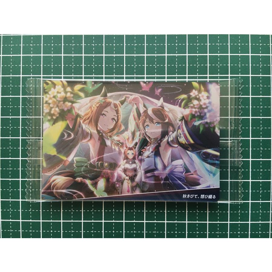 ☆ウマ娘 プリティーダービー ツインウエハース 第8R #W8-19