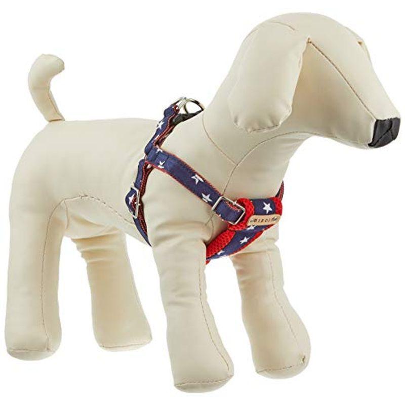 バーディ Birdie スターデニムクッションハーネス S ネイビー サイズ しつけ用首輪 Vest Doctum Edu Br