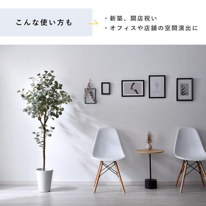 フェイクグリーン 大型 玄関 ユーカリ ユーカリの木 150cm 鉢植え